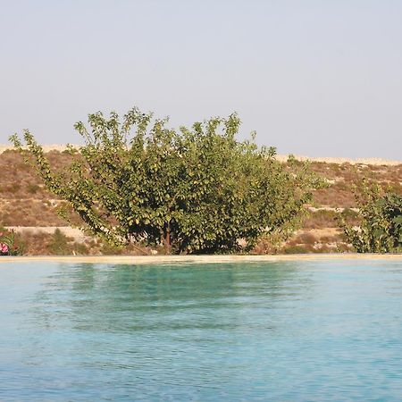 Testa dellʼAcqua Agriturismo Leone 빌라 외부 사진