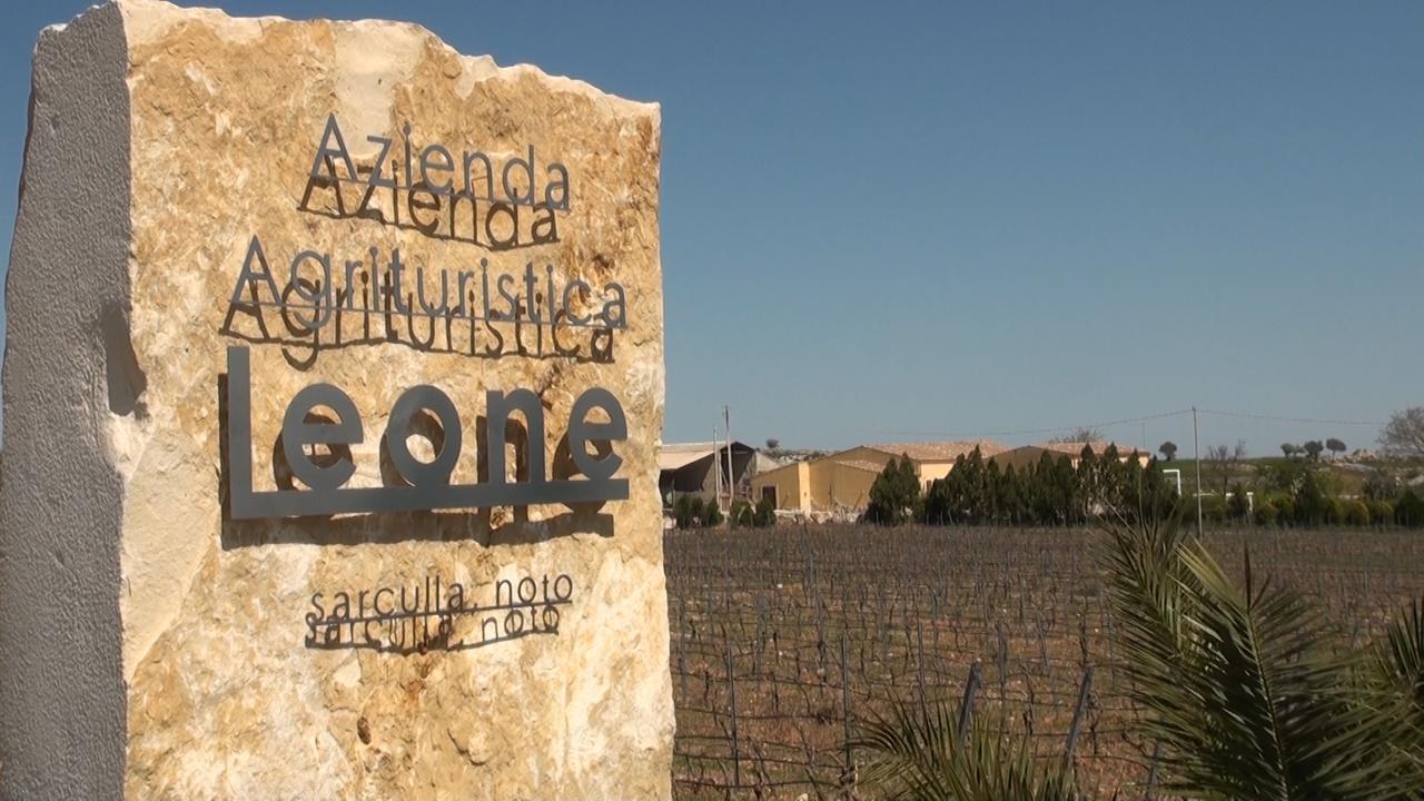 Testa dellʼAcqua Agriturismo Leone 빌라 외부 사진