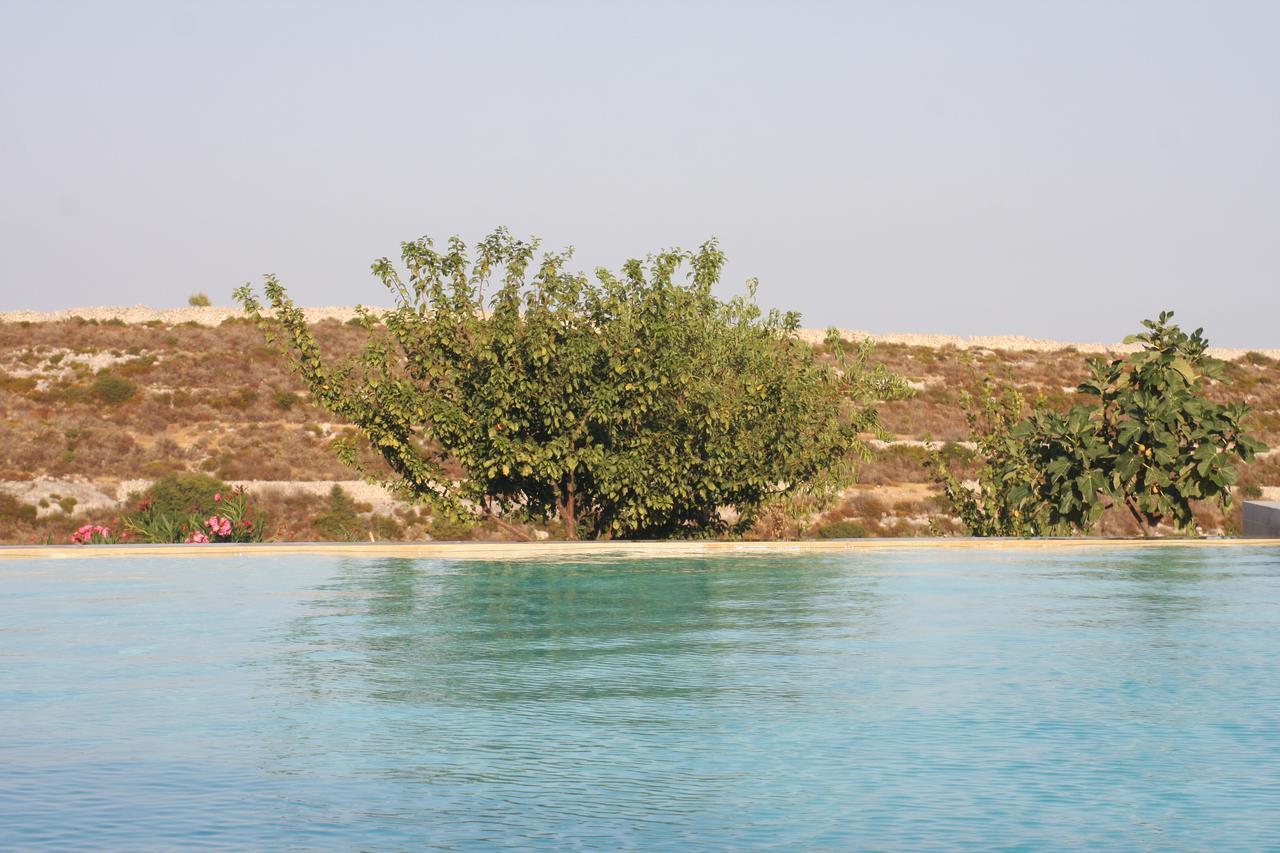 Testa dellʼAcqua Agriturismo Leone 빌라 외부 사진