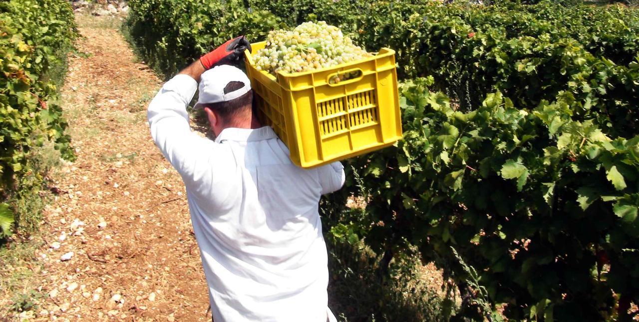 Testa dellʼAcqua Agriturismo Leone 빌라 외부 사진